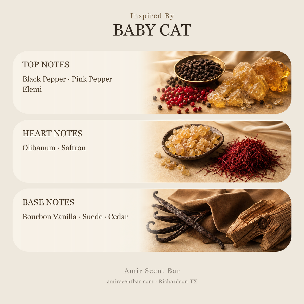 BABY CAT fragrance notes