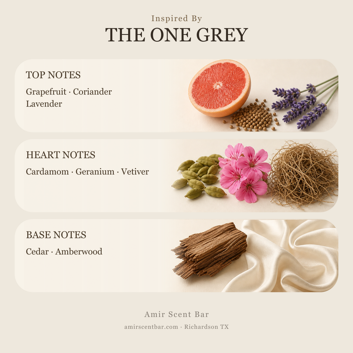 THE ONE GREY fragrance notes