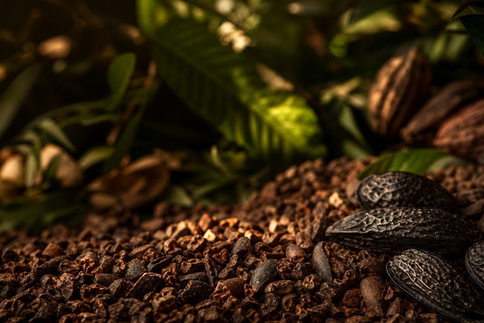 A warm and earthy landscape with textures of cacao nibs and lush foliage, representing tonka beans and spices.