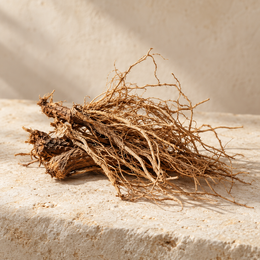 a small loose bundle of dried cypriol roots