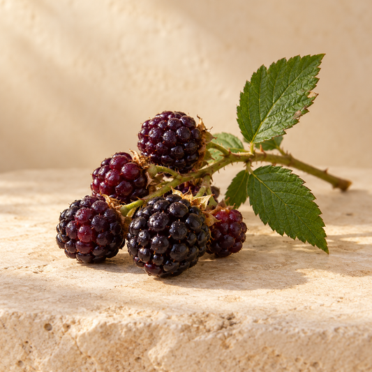 dark purple dewberries on a small stem