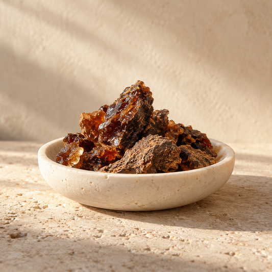 dark brown styrax resin in a shallow ivory dish