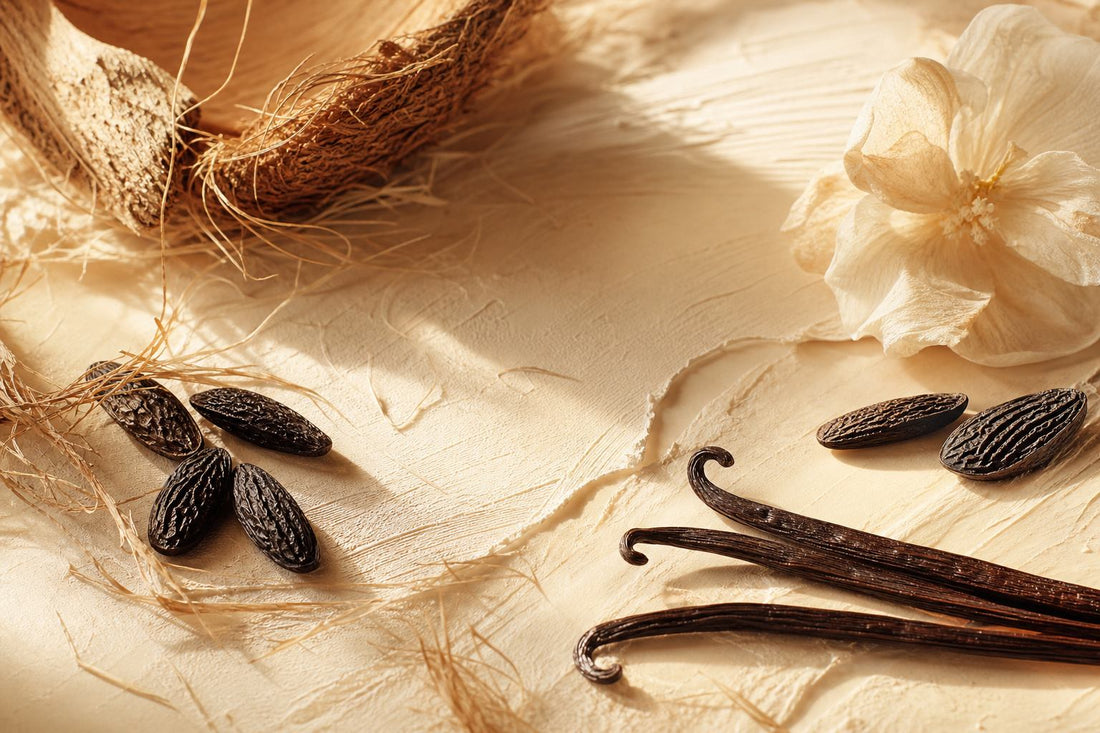 A warm beige and creamy white landscape with coconut husk and tonka bean textures.