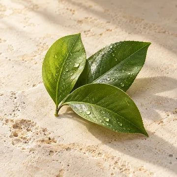 Green Leaves scent impression