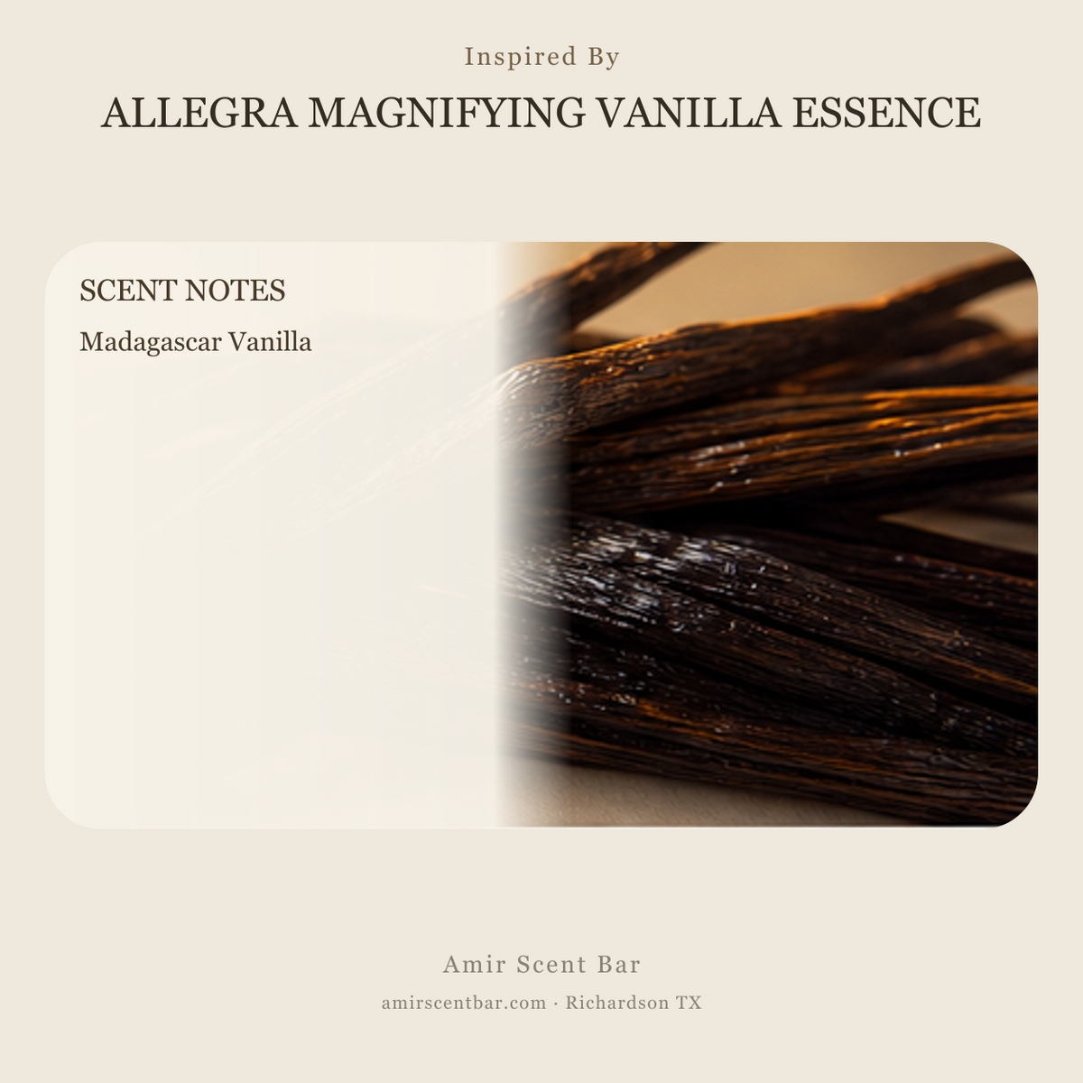 ALLEGRA MAGNIFYING VANILLA ESSENCE fragrance notes