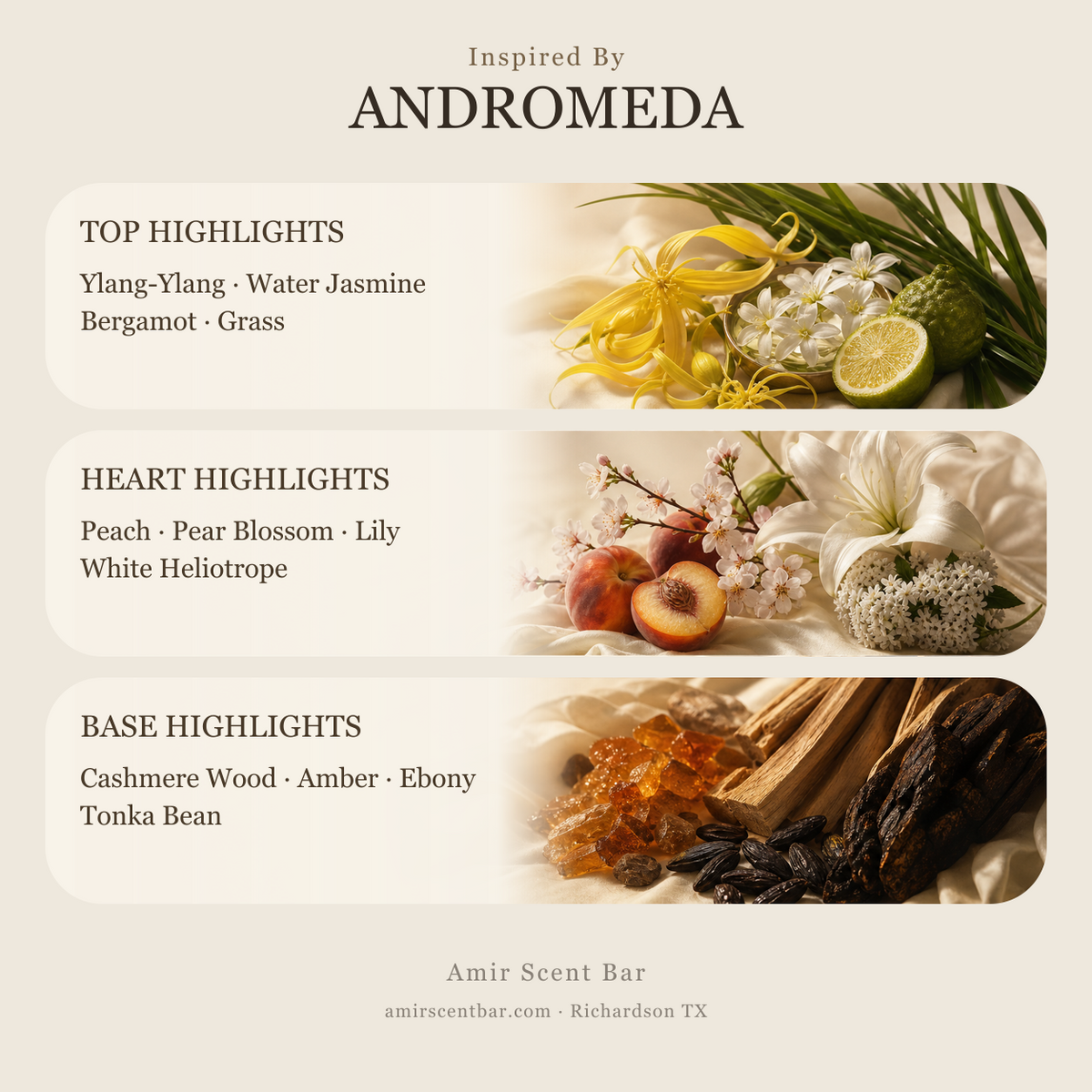 ANDROMEDA fragrance notes