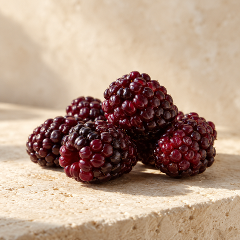 a small cluster of dark reddish-purple boysenberries