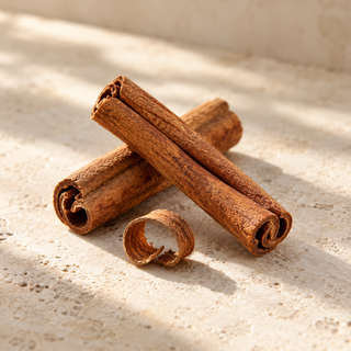 two cinnamon bark quills and a small curl of bark