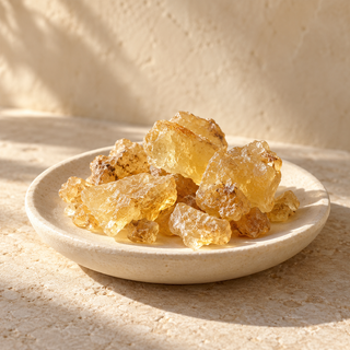 pale golden elemi resin pieces on an ivory dish
