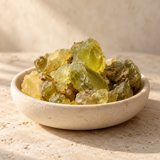 golden-green galbanum resin pieces in a shallow ivory dish