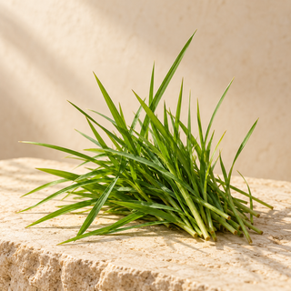a small natural tuft of freshly cut green grass