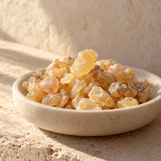pale golden frankincense resin tears in a shallow ivory dish