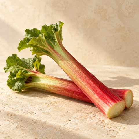 two short fresh red-green rhubarb stalks