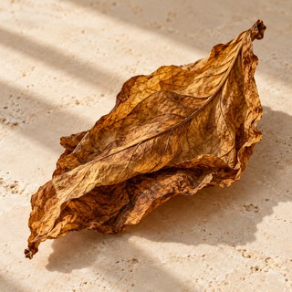 a folded dried golden-brown tobacco leaf, no cigarettes or smoking equipment