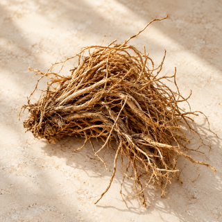 a small bundle of dry tangled vetiver roots