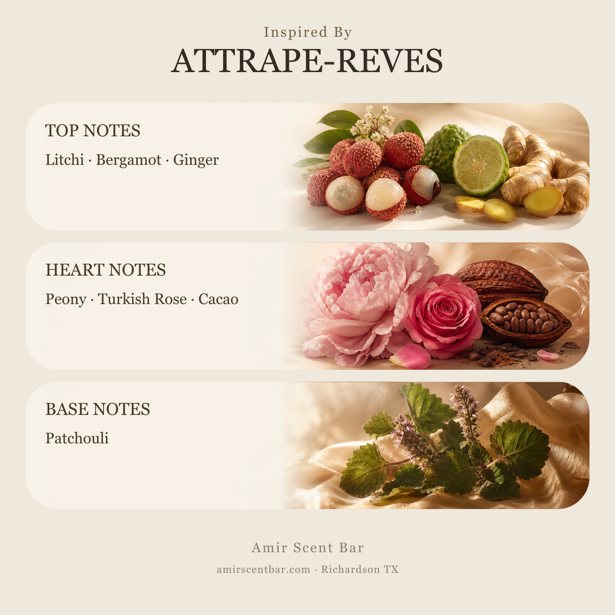 ATTRAPE-REVES fragrance notes