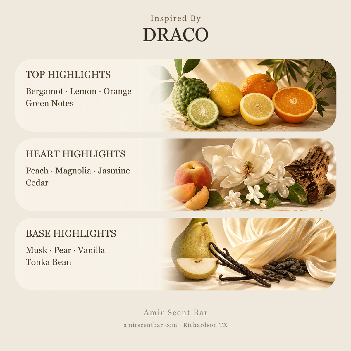 DRACO fragrance notes
