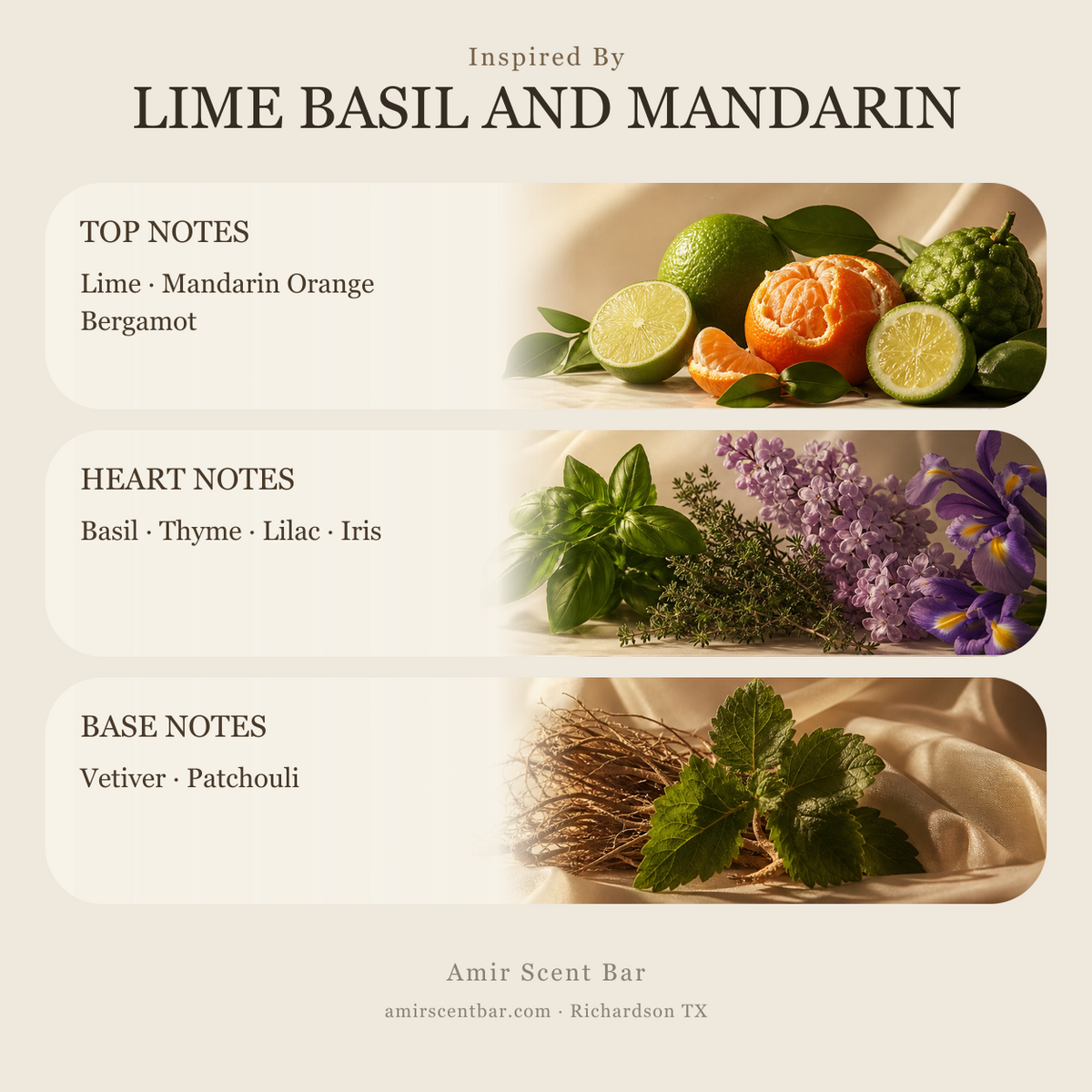 LIME BASIL AND MANDARIN fragrance notes
