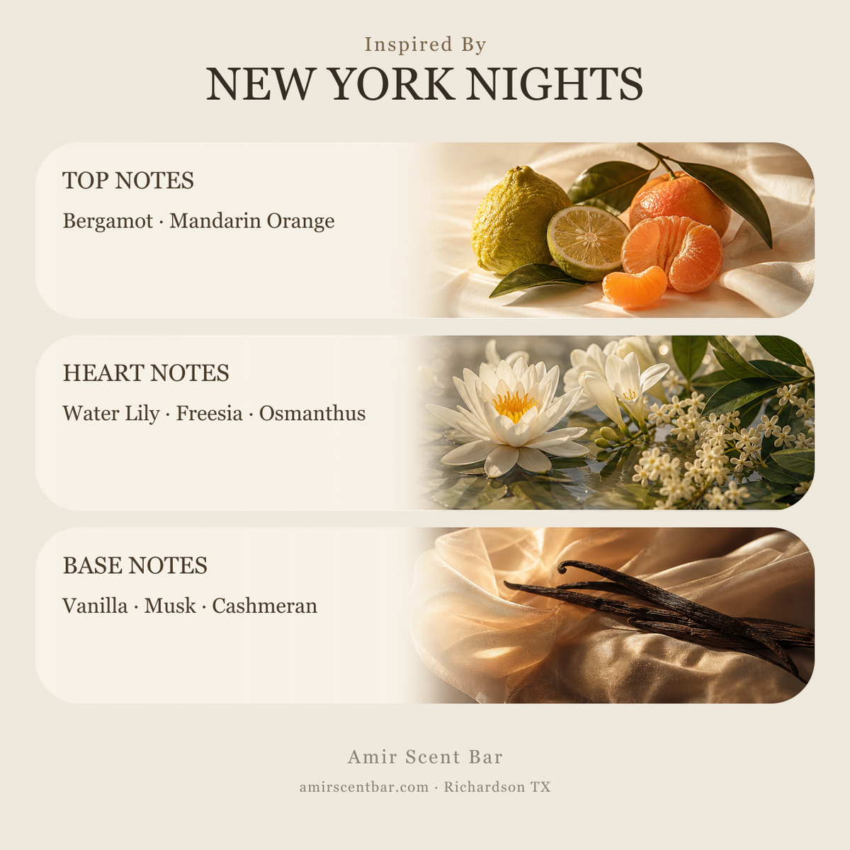 NEW YORK NIGHTS fragrance notes