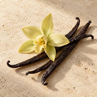 Planifolia Vanilla scent impression