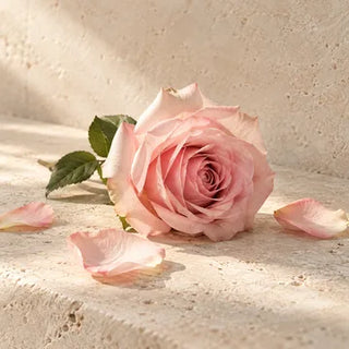 Rose scent impression
