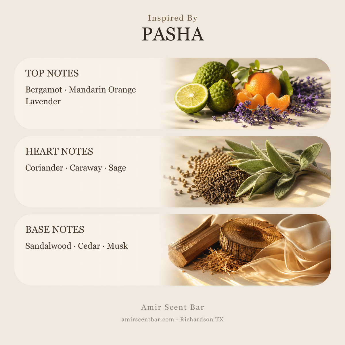 PASHA fragrance notes