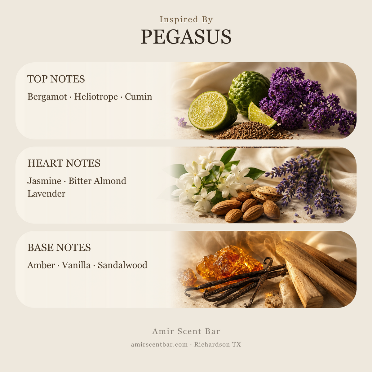 PEGASUS fragrance notes — Amir Scent Bar.