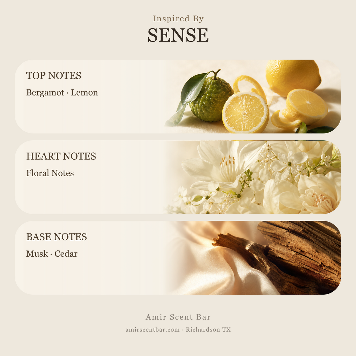 SENSE fragrance notes