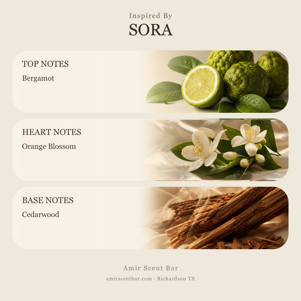 SORA fragrance notes