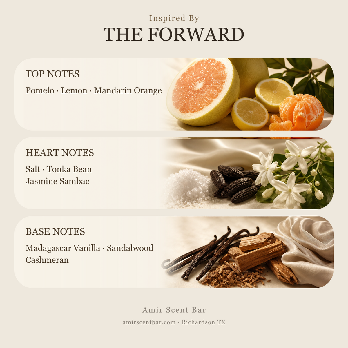 THE FORWARD fragrance notes