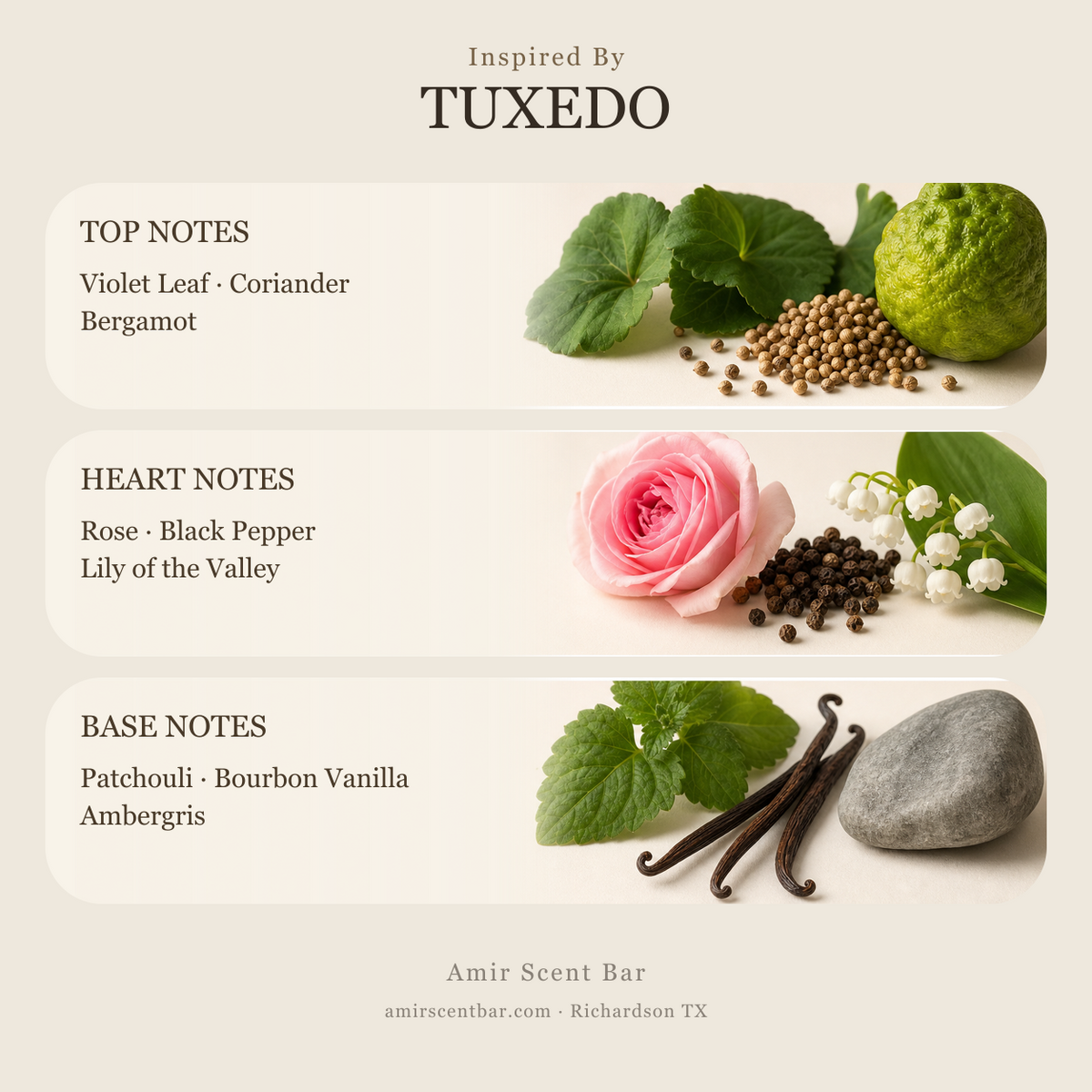 TUXEDO fragrance notes