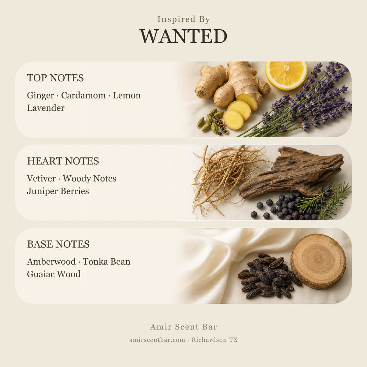WANTED fragrance notes